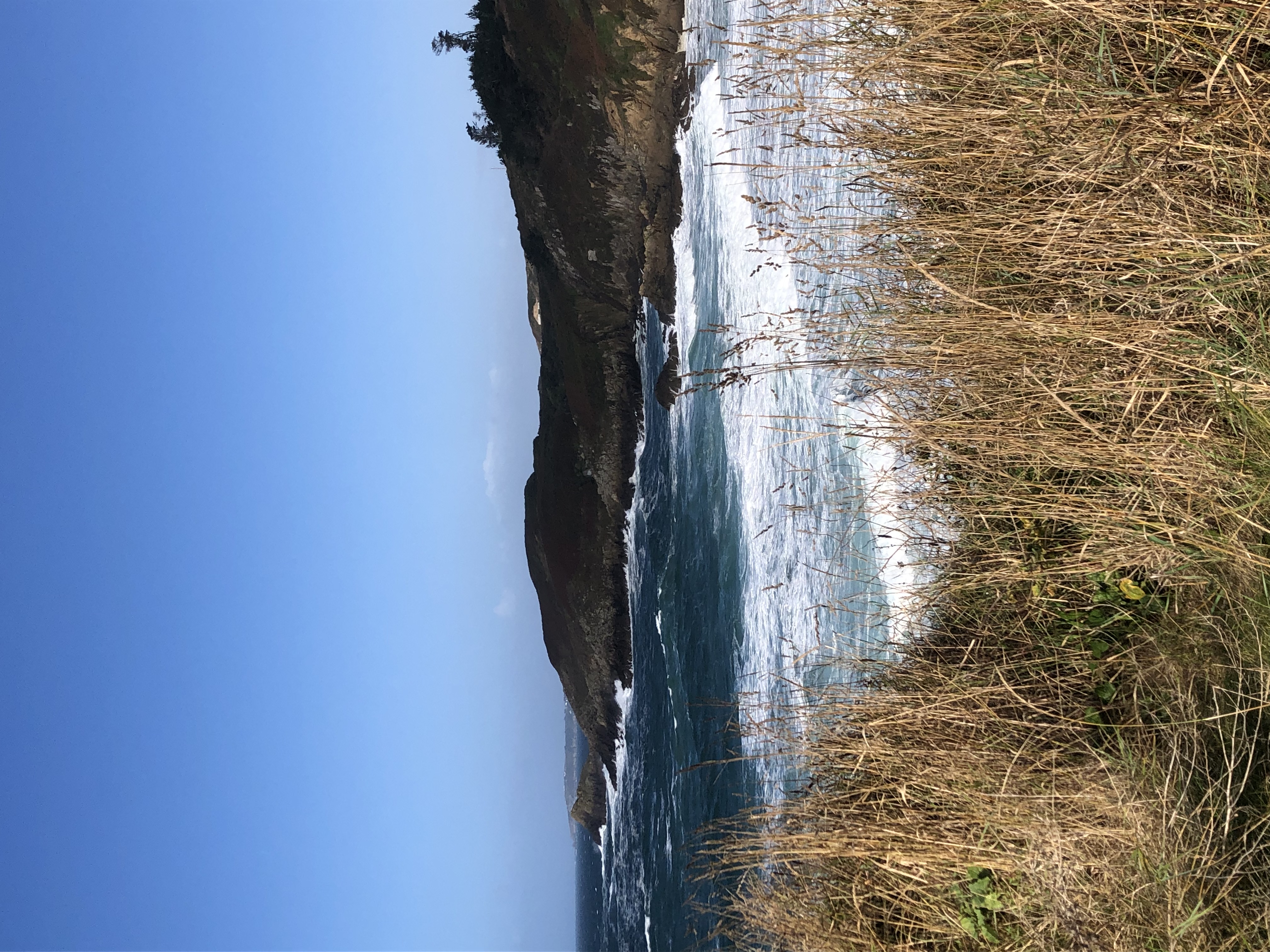 Am Meer